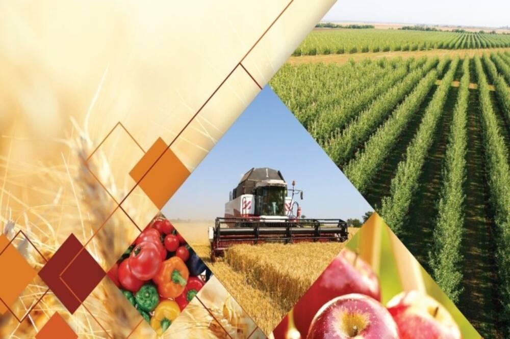1627191217 18 Kartinkin Com P Fon Agronomiya Krasivo 24 1