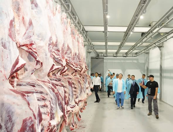 641386416 2111038752977730 6738661392375189987 N