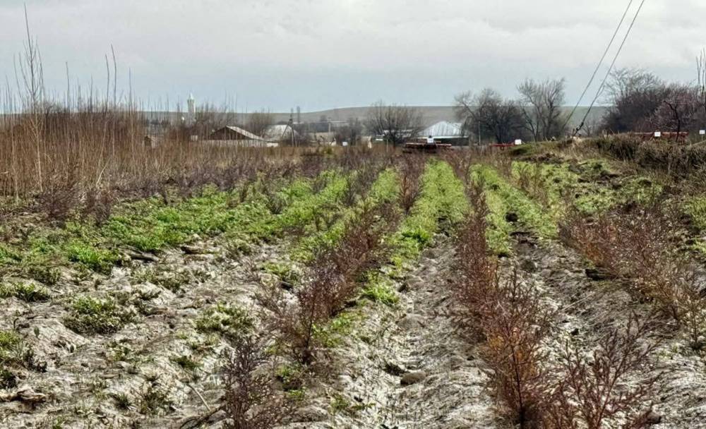 649169518 2121495715265367 8797797938936944362 N