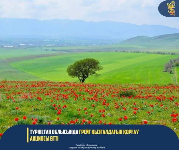 668718898 2147069052708033 4623487387221403936 N